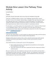 Module Nine Lesson One Pathway Three Activity Pdf Module Nine Lesson