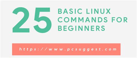 25 Basic Linux Commands For Beginners Pcsuggest