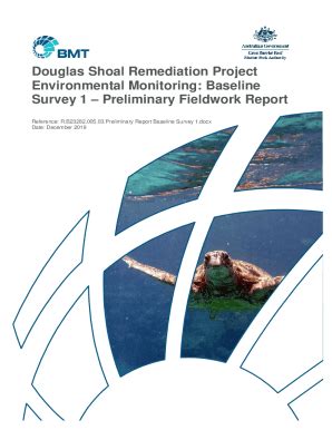 Fillable Online Douglas Shoal Remediation Project Environmental