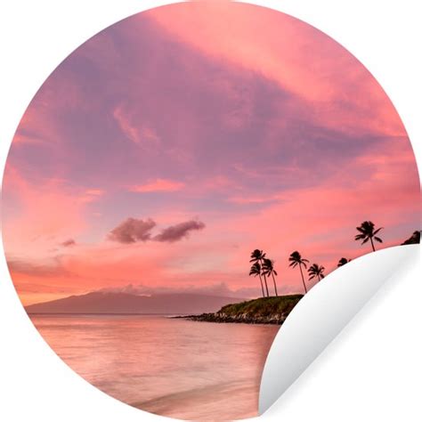 WallCircle Muurstickers Behangcirkel Strand Palmboom Roze