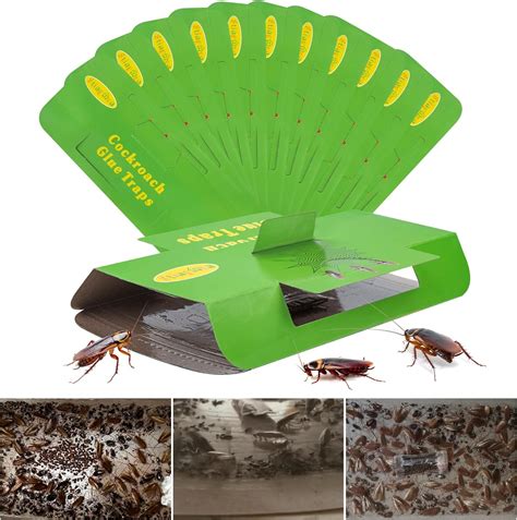 Amazon 24 Pack Roach Traps Indoor Roach Killer Indoor Infestation