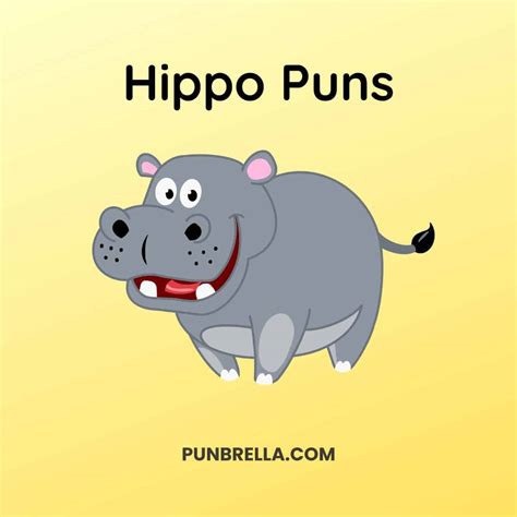 150 Hilarious Hippo Puns To Make You Laugh Out Loud