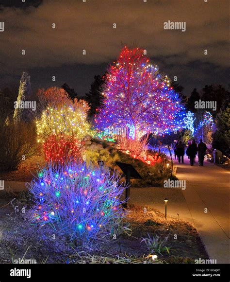 Outdoor Tree Lights Stock Photo - Alamy