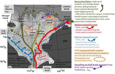 Circulation in the Chukchi Sea