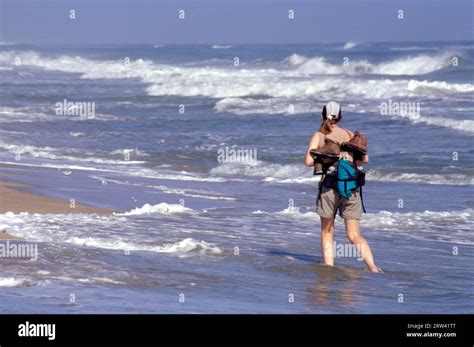 Wading On Klondike Beach Canaveral National Seashore Florida Stock