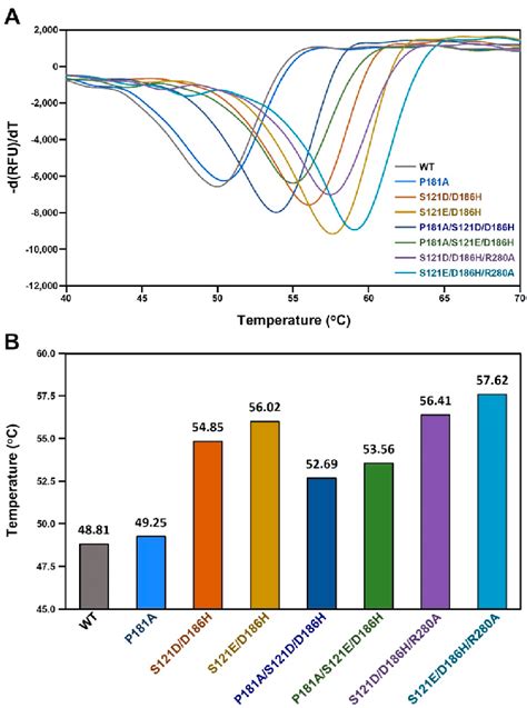 A Thermal Stability Measurement Of Ispetase Wt And Variants B