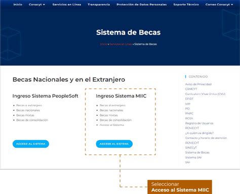 Solicitud de beca de posgrado en México Guía completa con consejos y