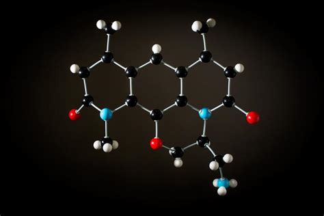 Antibiotic Breakthrough Team Discovers How To Overcome Gram Negative