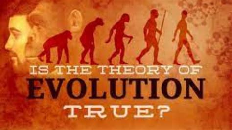 Theory Of Evolution True Or Fiction How Life Originated On Earth