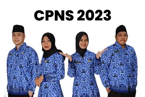 Sudah Ikut Seleksi Simak Bagaimana Cara Mengecek Pengumuman Cpns 2023