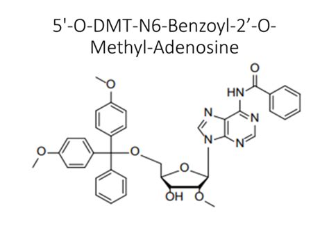 5 O DMT N6 Benzoyl 2 O Methyl Adenosine Akonscientific