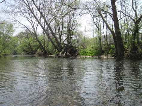 Clear Fork River – CFRTU