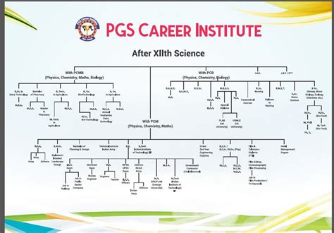 Career Map After 12th Athene Patricia