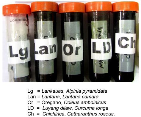 Ethanolic Extracts From The Five Plant Species Download Scientific