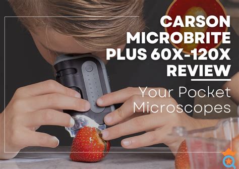 MicroBrite Plus Pocket Microscope Carson Optical