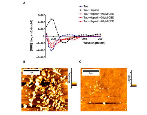 Cbd Is Capable Of Reducing Tau Protein Polymerization A Far Uv Cd