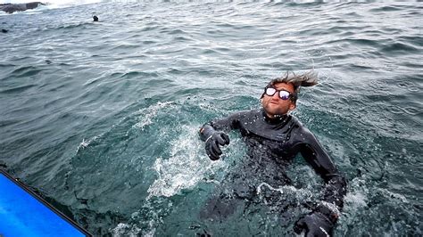 Surfing With Great White Sharks At Dungeons South Africa Youtube