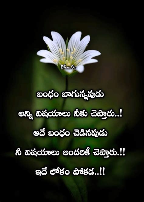 Pin By Pv Rao On Quoting Cute Quotes For Life Telugu Inspirational