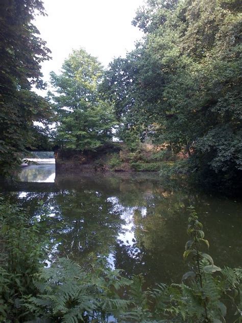 Basingstoke Canal: Looking north towards Mytchett Lake ...