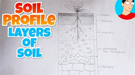 Soil Profile Layers Of Soil How To Draw Layers Of Soil Labelled