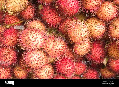 Rambutan Nephelium Lappaceum Are Sold At A Fruit Market In Phnom Penh