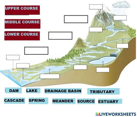 River Stages Diagram