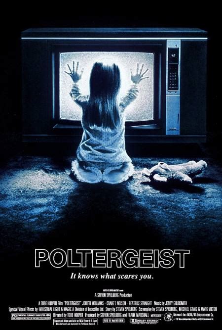 Poltergeist O Fen Meno Leitura F Lmica