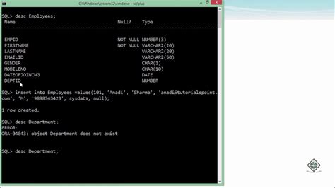 How To Insert Multiple Values In Sql Developer Printable Forms Free