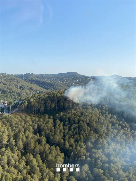 Aquesta setmana començarà la neteja de la franja perimetral per a la