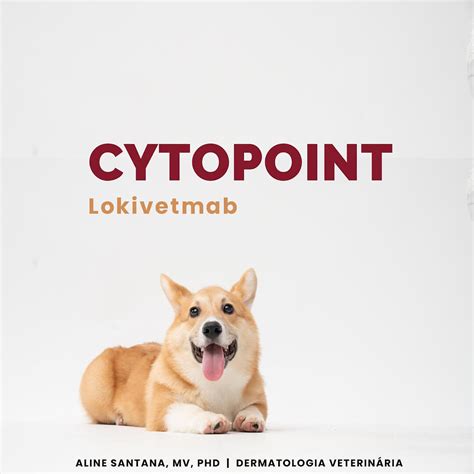 Cytopoint Bula Dose Tudo O Que Você Precisa Saber Para Dermatite Atópica Canina