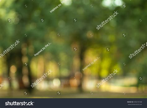 Blurry Nature Wallpaper Forest Bokeh Background Stock Photo 309270188 ...