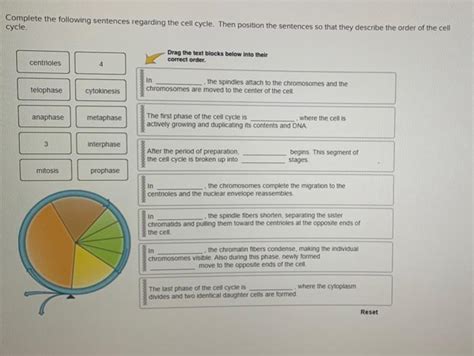 Solved Complete The Following Sentences Regarding The Cell