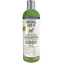 Amazon.com: flea shampoo for humans