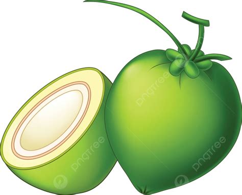 Funny Coconut Clip Art