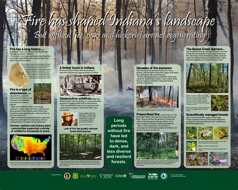 Fire Science Interpretive Signs: Hoosier National Forest - Oak Fire Science