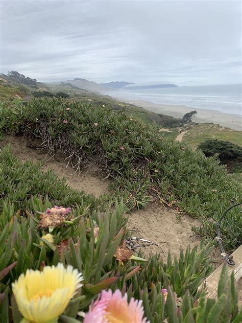 Fort Funston Rbayarea