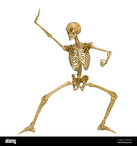 Skeleton In A White Background Running Doing A Fighter Pose This Guy