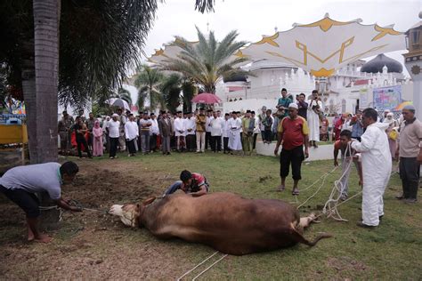 FOTO Serahkan Hewan Kurban BIRO ADMINISTRASI PIMPINAN SETDA ACEH