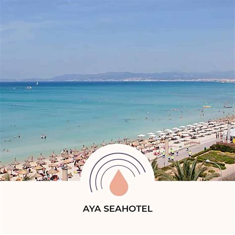 Hotel AYA Seahotel Playa de Palma Información 2023