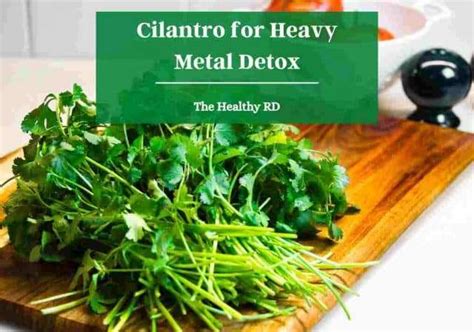 Cilantro For Heavy Metal Detox How To Use It The Healthy Rd