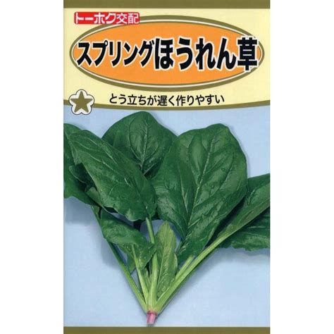 期間限定今なら送料無料 種子 スプリングほうれん草 トーホクのタネ Sixmatrixjp