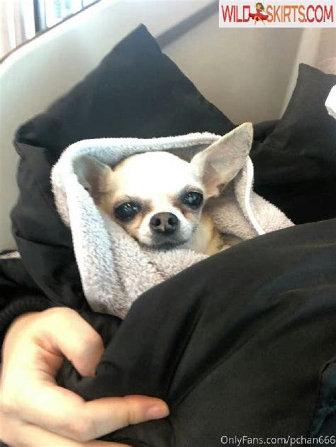 Pchan Nude Leaked Photos And Videos WildSkirts