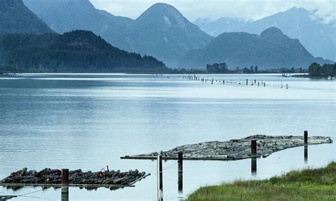 Lower Pitt River Near Pitt River Bridge Port Coquitlam Bc Canada Port Coquitlam Coquitlam