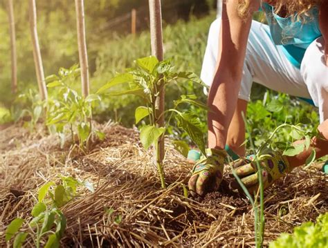 Comment D Sherber Efficacement Et Sans Polluer Avec Un Produit Fait