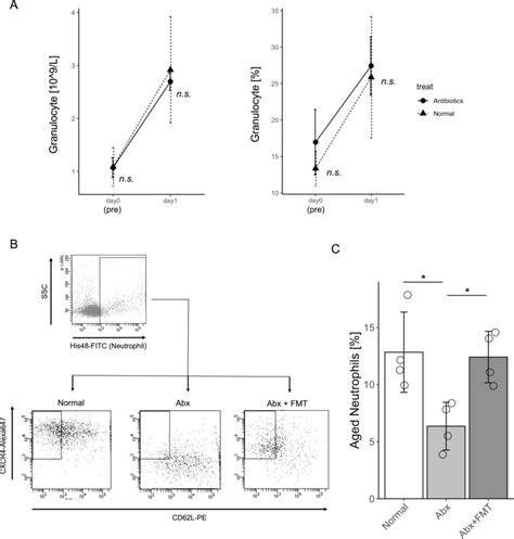 The number and properties of circulating neutrophils. A In normal and... | Download Scientific ...