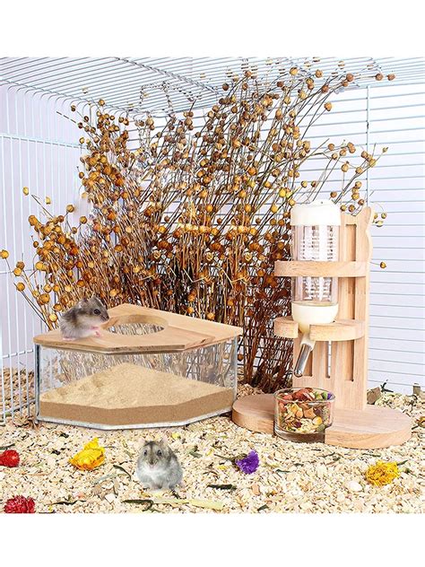 Hamster Transparent Sand Bath Container – The Great Big Store