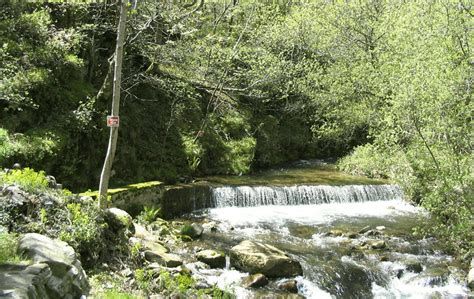 Montagne Noire Les Sources De La Clamoux Dans La Montagne Noire