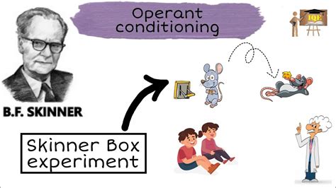 B F Skinner Box Experiment