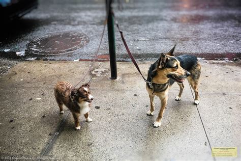 Waiting on a Friend - Stephen Kennedy Photographer