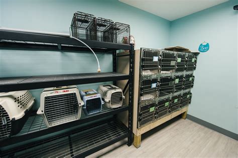 VIrtual Tour Of Spay Neuter Veterinary Clinic Of The Sandhills | Spay